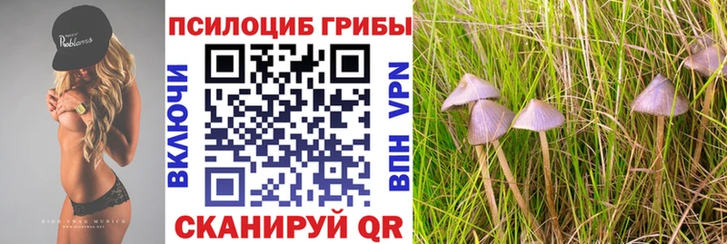 закладка Ишим Галлюциногенные грибы Magic Shrooms